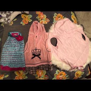 Dog coat, sweater, and outfit